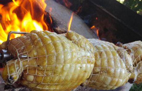 La Vecchia Quercia_aquino2